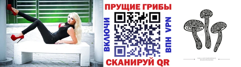 магазин продажи   Михайлов  Галлюциногенные грибы мухоморы 